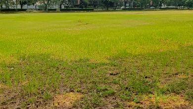 Lahan Kosong 1,5 HA Mega Kuningan Jakarta Selatan