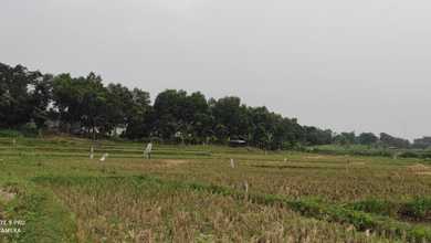 For Sale Tanah Eksklusif di Lippo Cikarang, Cikarang, LT 55983m²