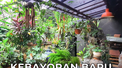 Kesempatan Eksklusif, rumah Prestisius di Kebayoran Baru, Jakarta Selatan, LB 285m²