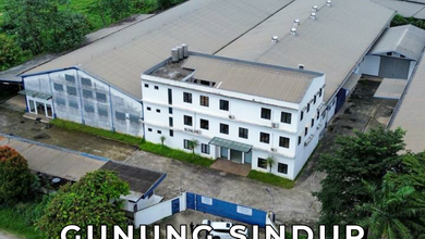 Dijual Cepat Gudang / Pabrik di Curug Area Gunung Sindur