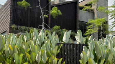 Rumah Minimalis di Bintaro, Jakarta Selatan, LT 255 m2