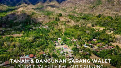 Tanah Ideal untuk Hunian di Buleleng, Buleleng, Luas 1200m²