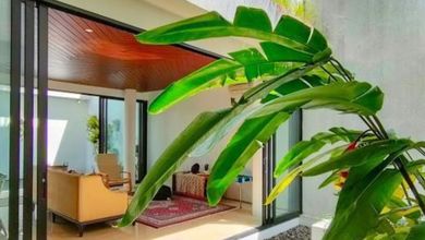 Kesempatan Langka, rumah Prestisius di Cilandak, Jakarta Selatan, LB 400m²